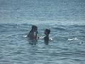 23c - Plage de la Malendure 004
